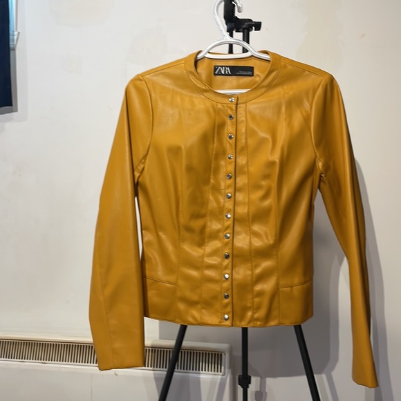 Yellow jacket - Picture 3 of 4